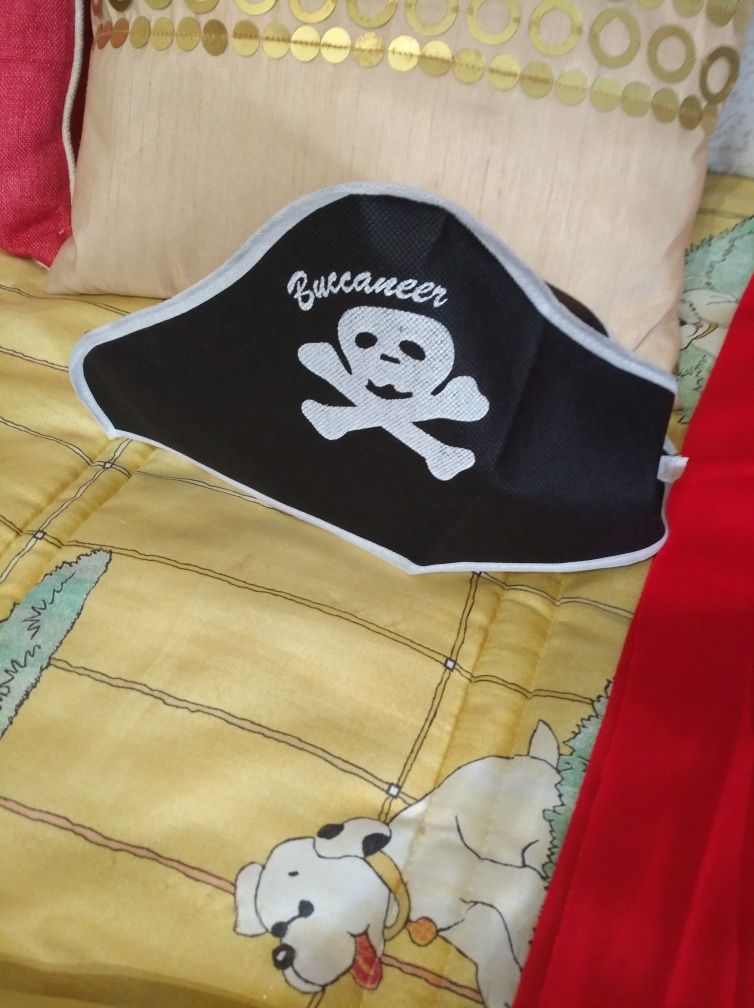 Fato de Carnaval Pirata