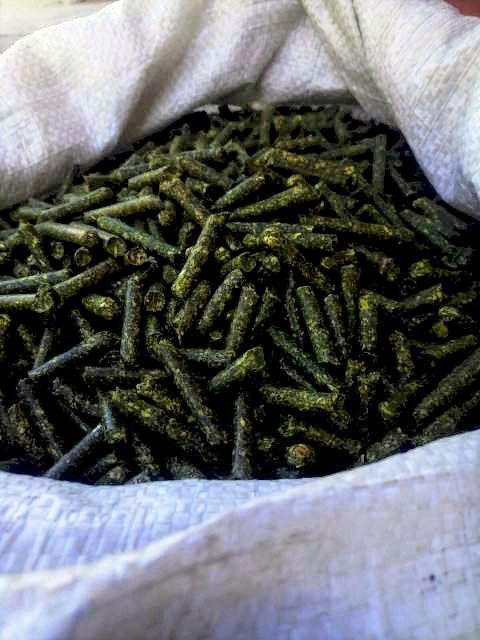 Люцерна гранульована