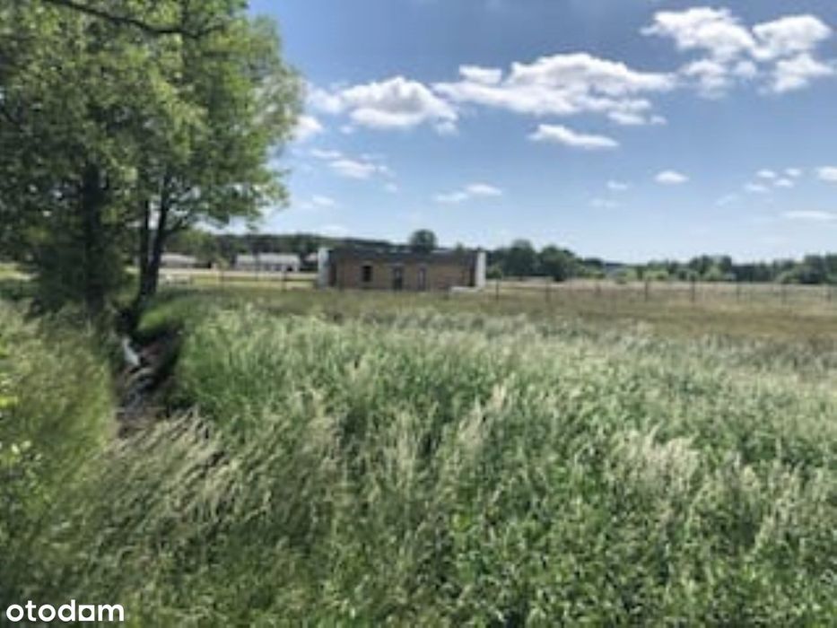 NA Sprzedaż Działki Kobylarnia