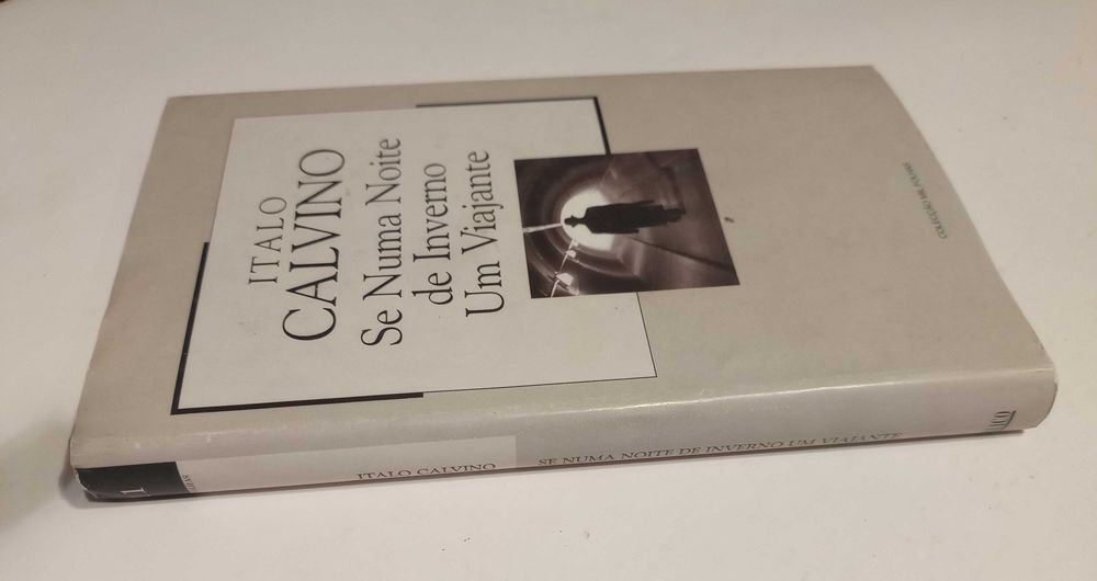 Se Numa Noite de Inverno um Viajante de Italo calvino