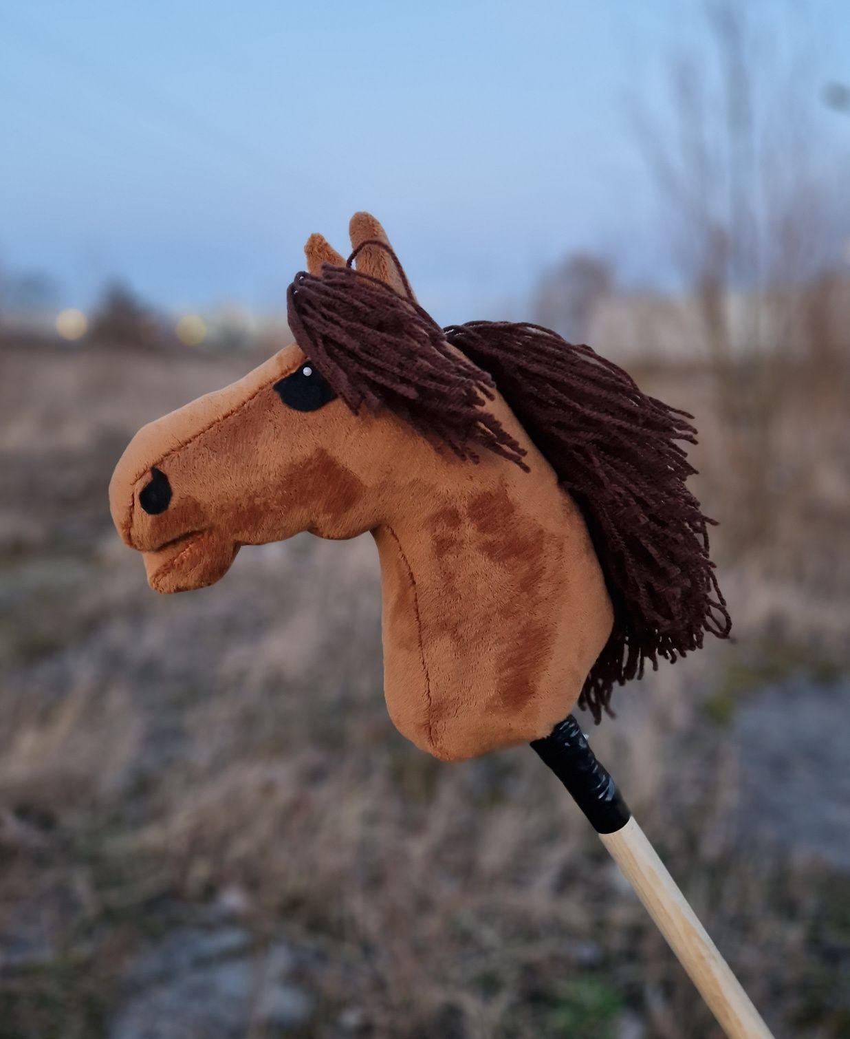 Hobby Horse - kasztanowaty jasny