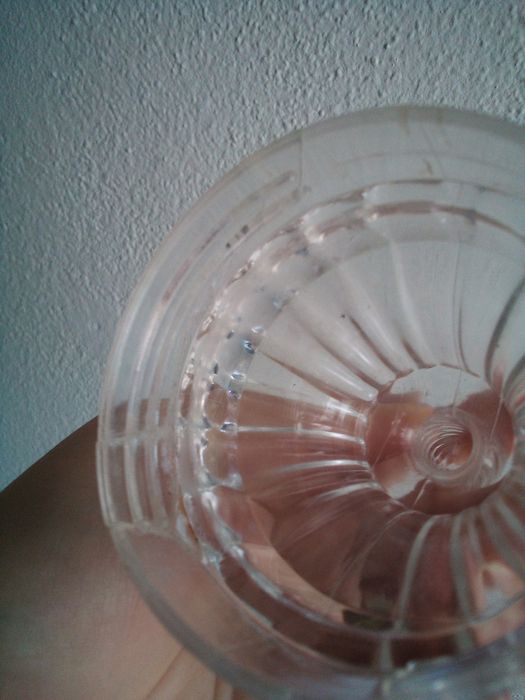 Frasco de vidro (terrarium)