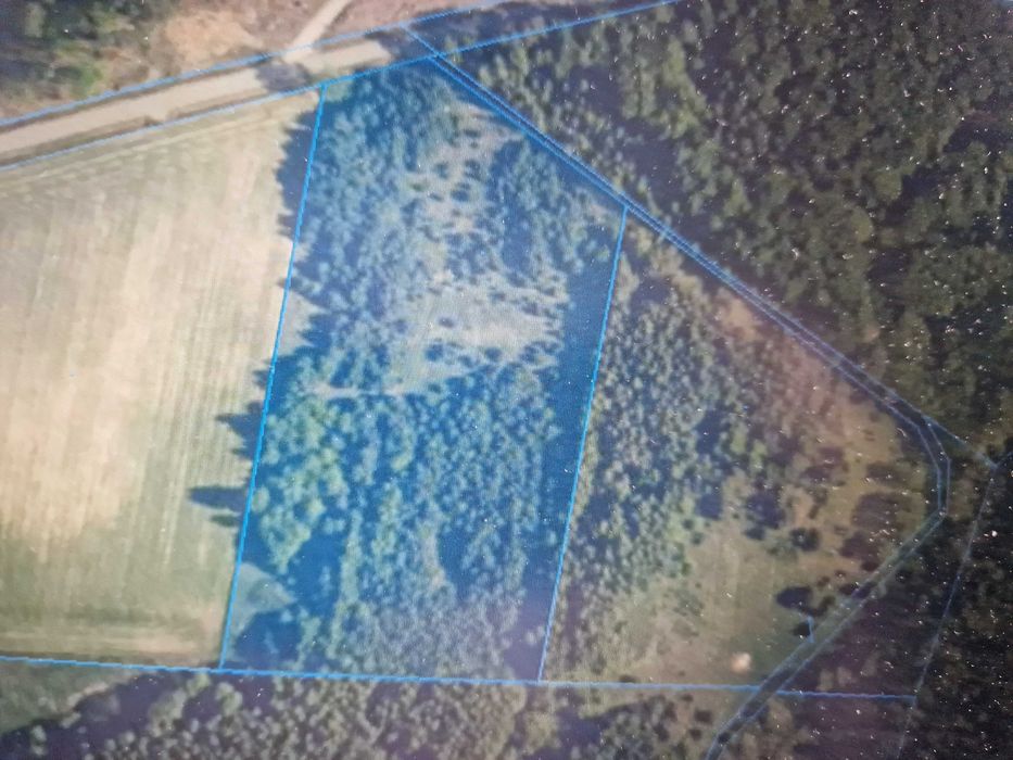 Ziemia rolna 1,75ha  we wsi Śniechy gm.Mochowo