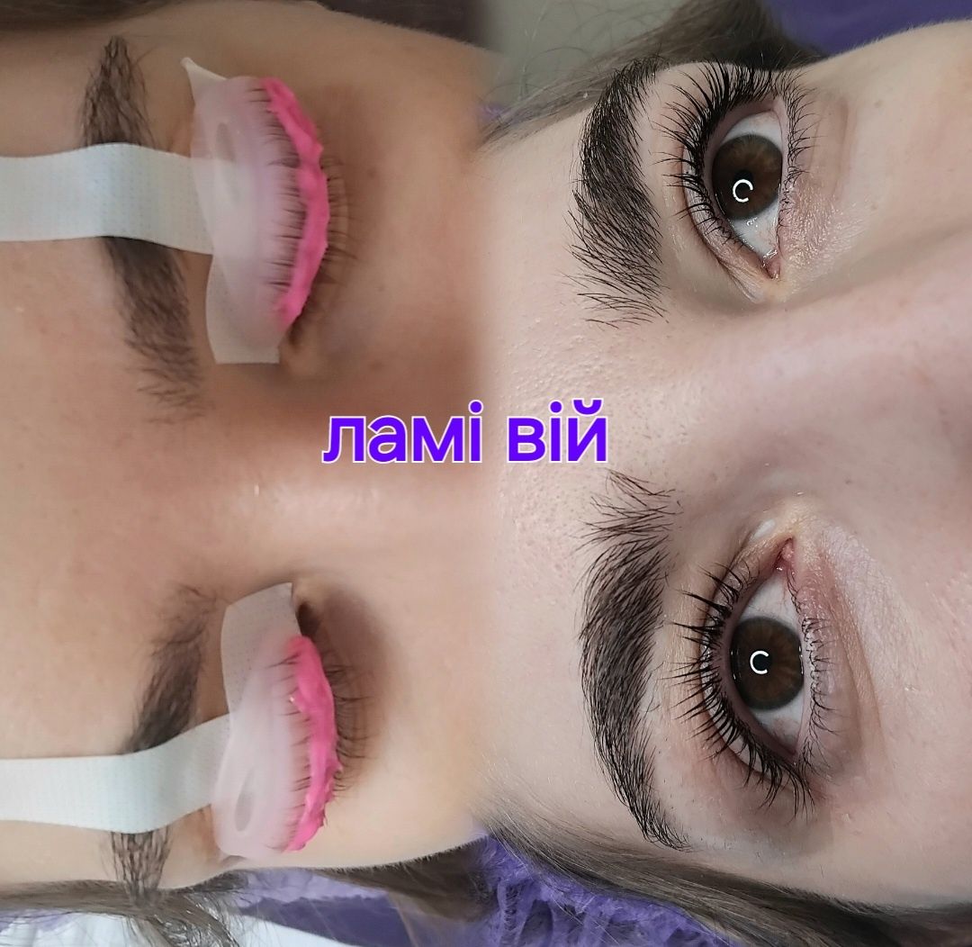 ЛАМІ Вій та брів, моделі, хна, Виноградар, Варшавський.
