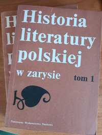 "Historia literatury polskiej w zarysie tomy I i II"