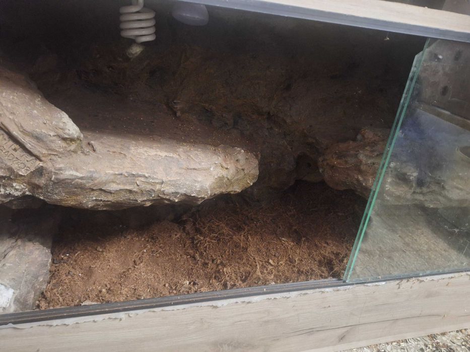 Terrarium 120x50 wys.60