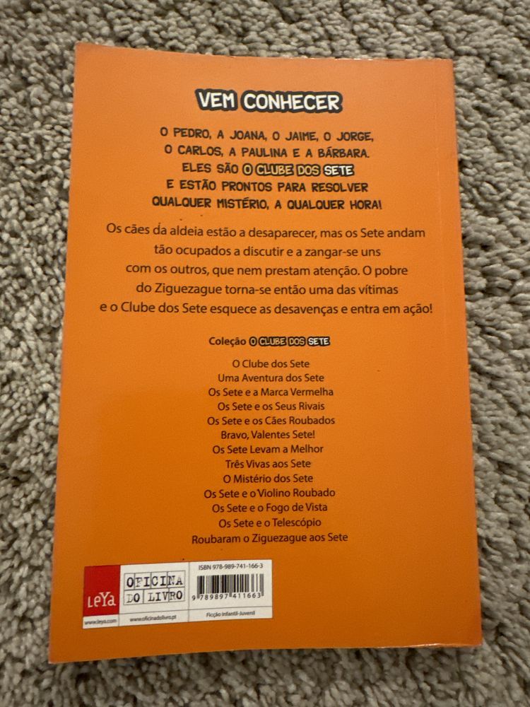 Livro Roubaram o Ziguezague aos Sete