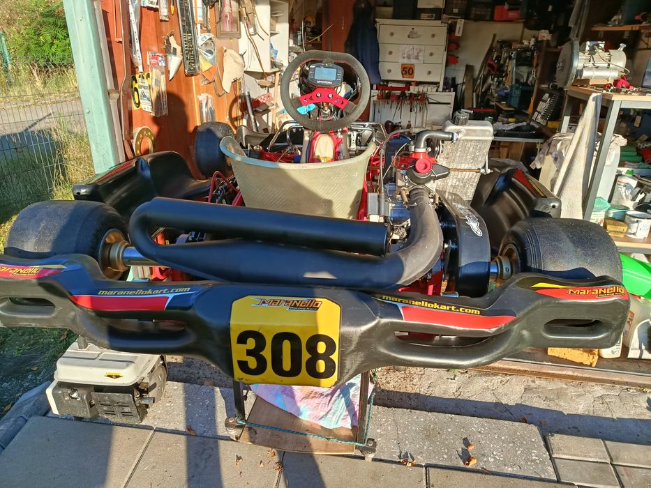 Gokart, kart, karting Rotax