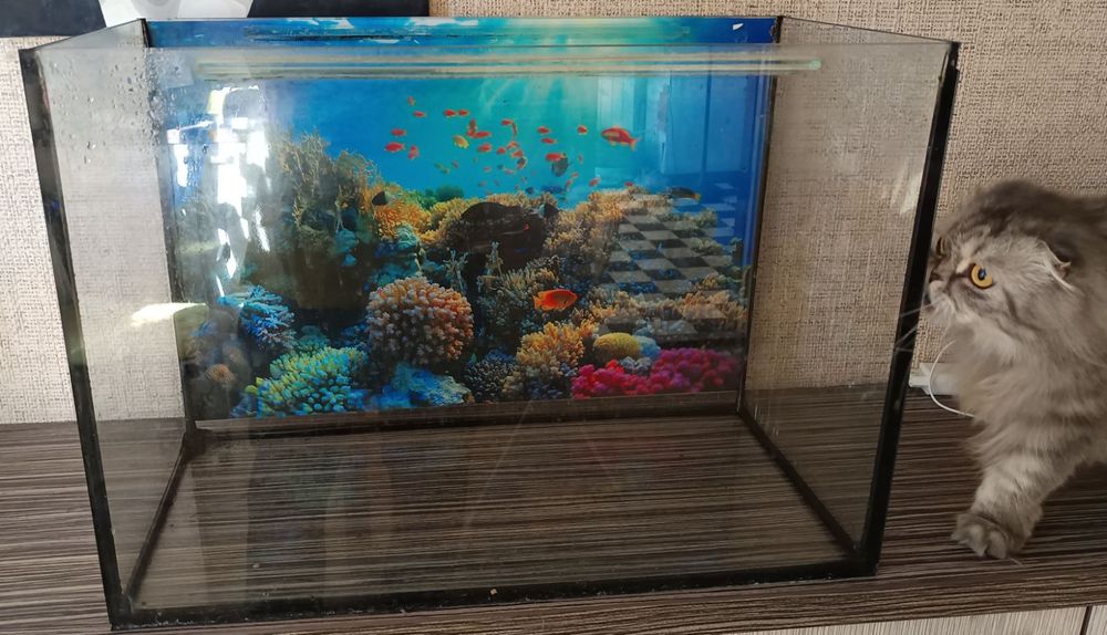 Аквариум 72л. Поддон. Крышка
