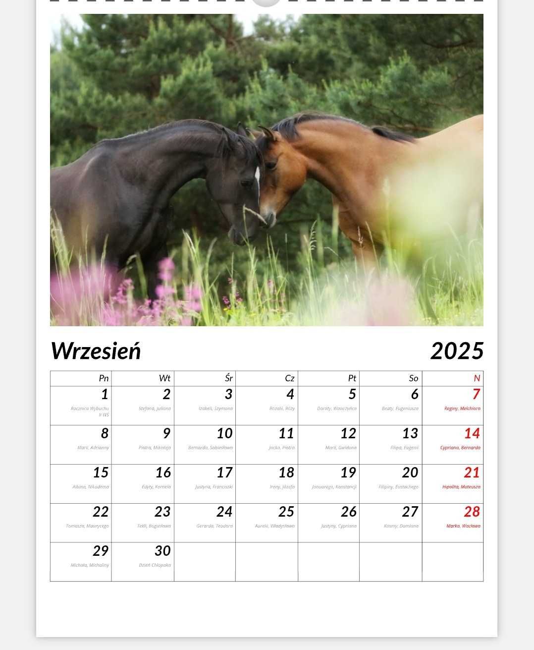 Fotokalendarz konie