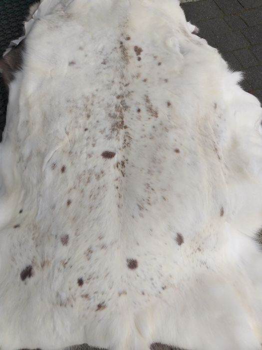 Naturalna skóra zrenifera