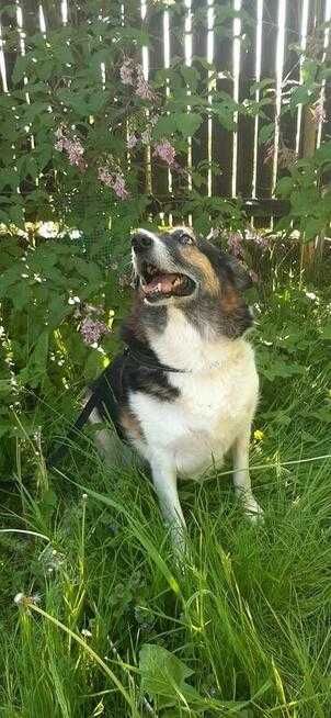 Nerunia szuka miejsca u boku Człowieka, który ją pokocha.