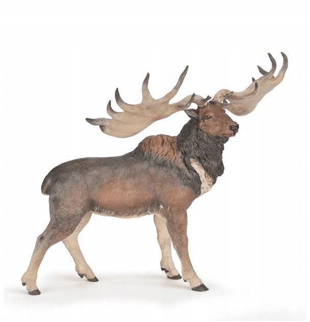 Megaloceros, Papo