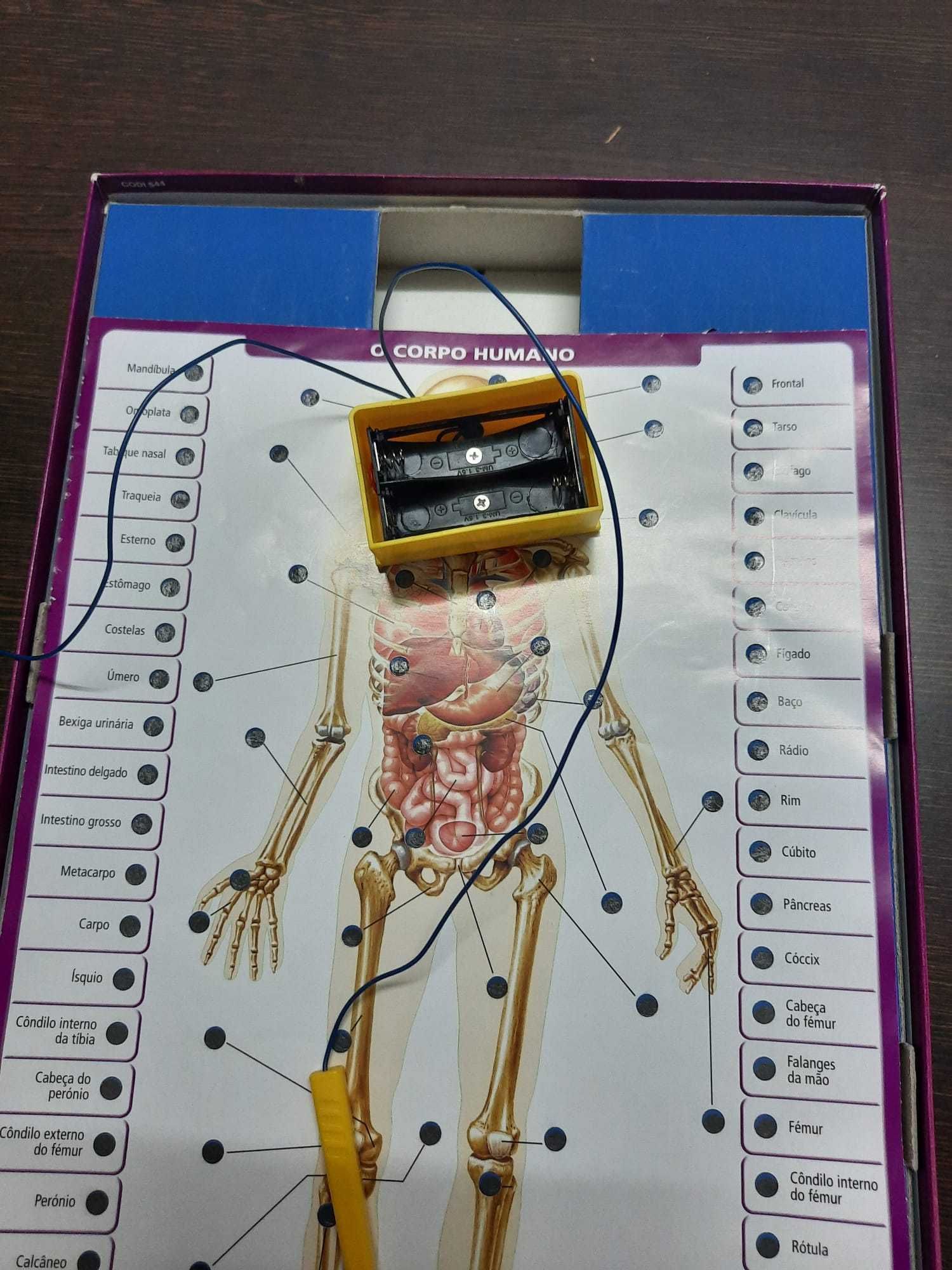 Jogo tabuleiro - Conector enciclopédia