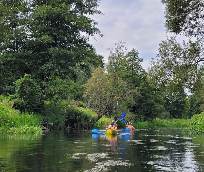 Domek domki sauna kominek nad rzeką Wkra