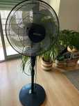 Ventoinha Becken com Controlo