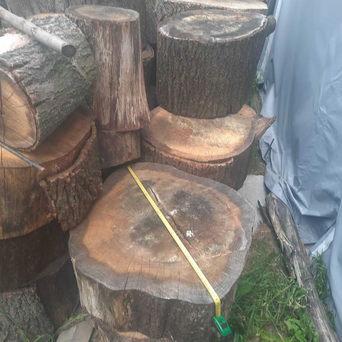 Pieńki dębowe róznne średnice