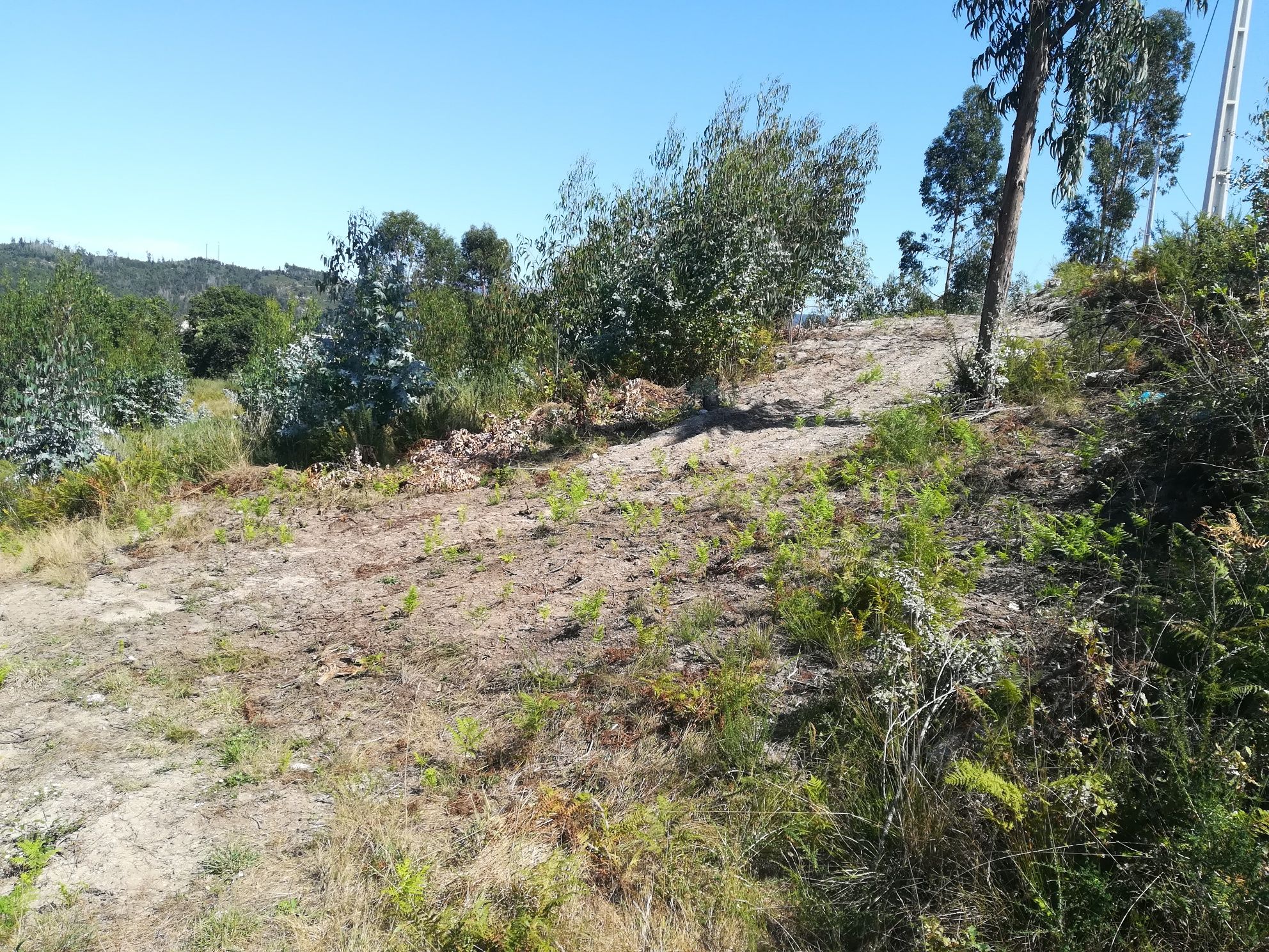 Terreno muito bem situado para construção