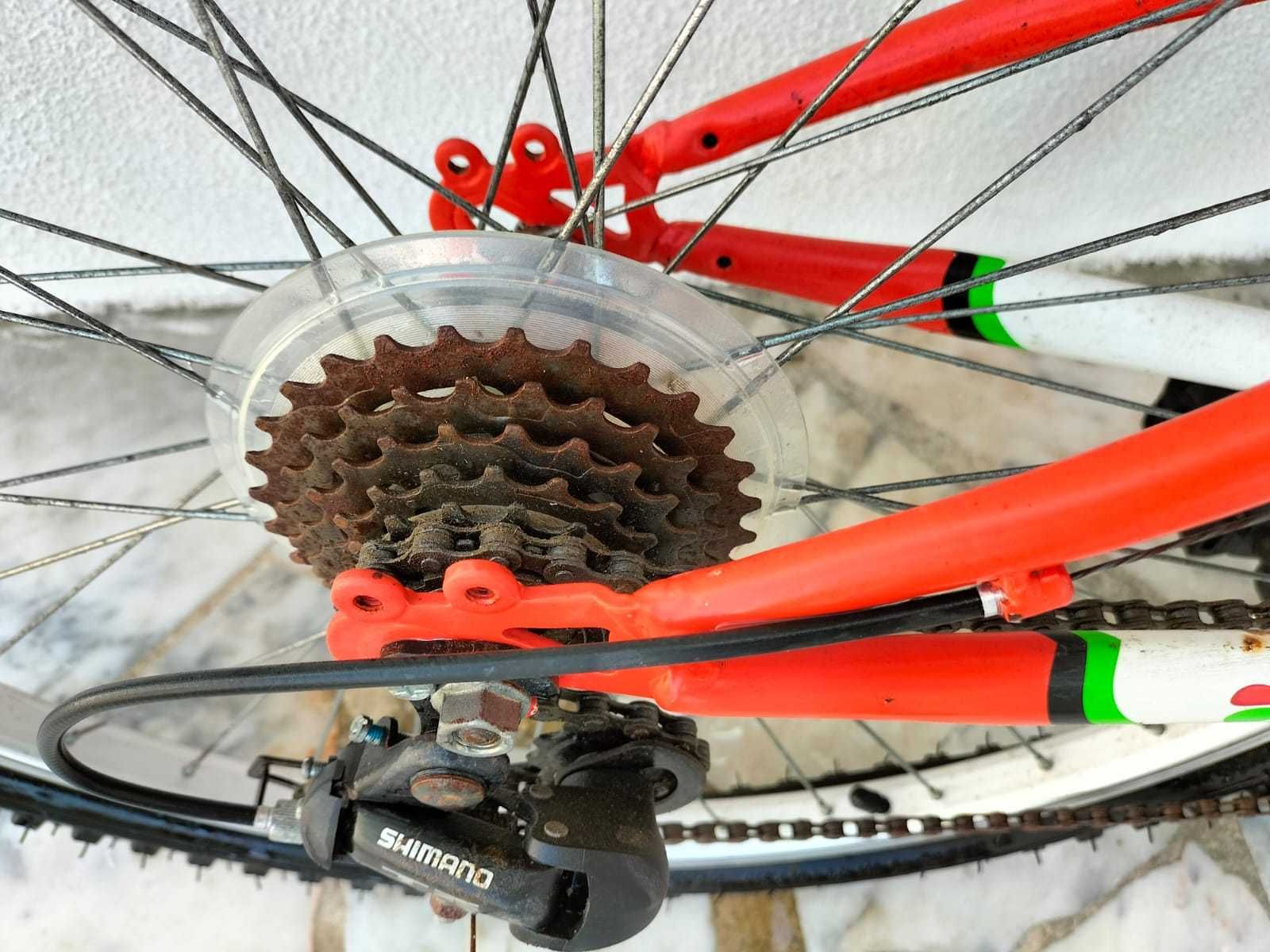 Bicicleta Bike Tour Adulto