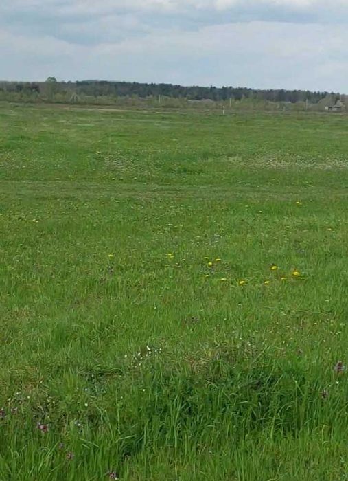 продам земельну ділянку