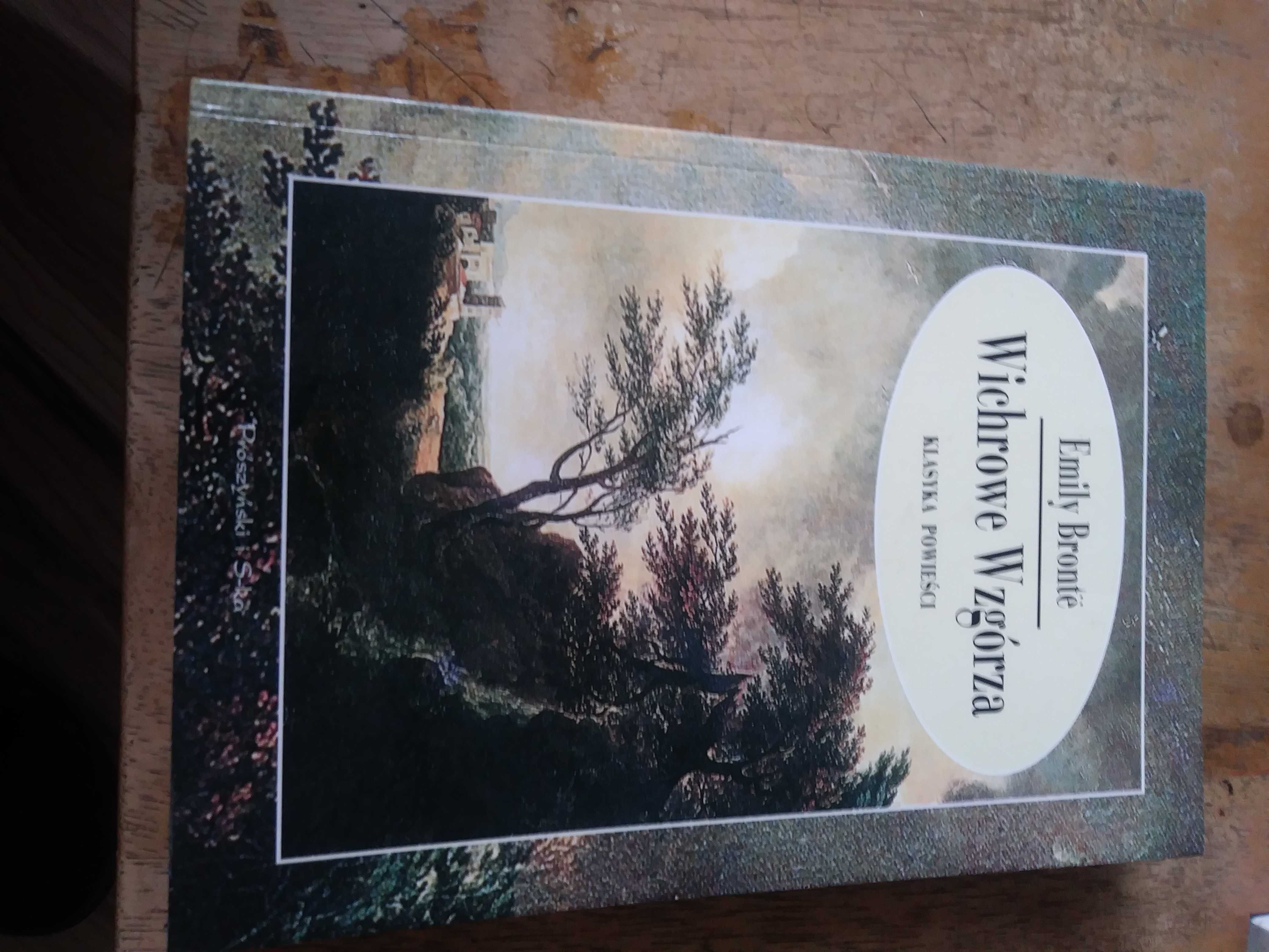 wichrowe wzgorza-emily bronte