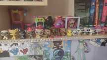 Lps pop i shorthair i nie tylko