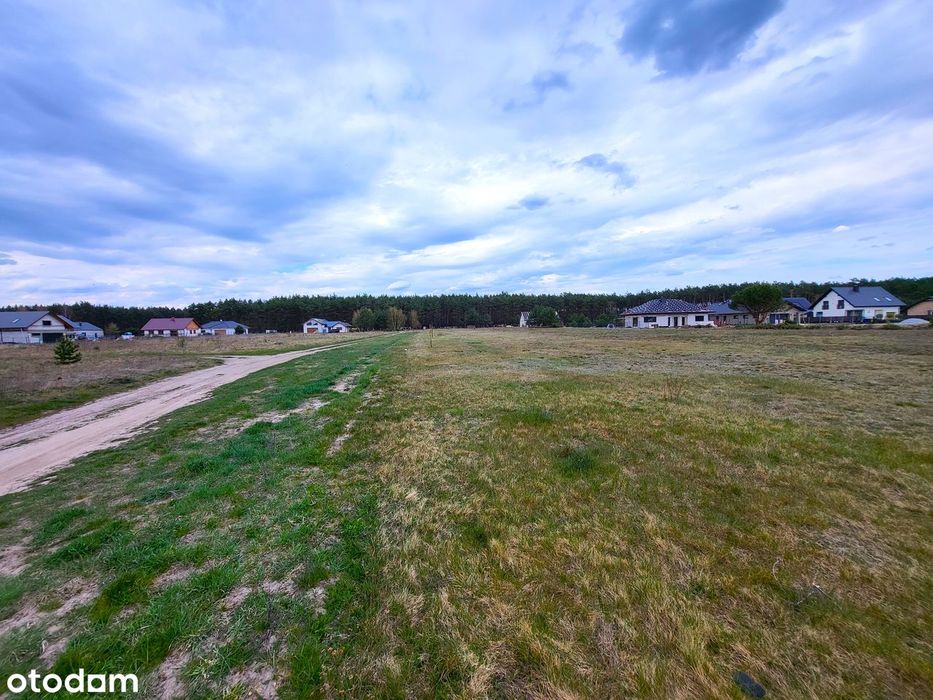Atrakcyjne działki budowlane w Kostrzynie n/O