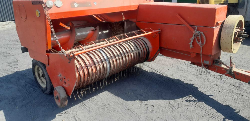 Prasa kostkujaca sipma