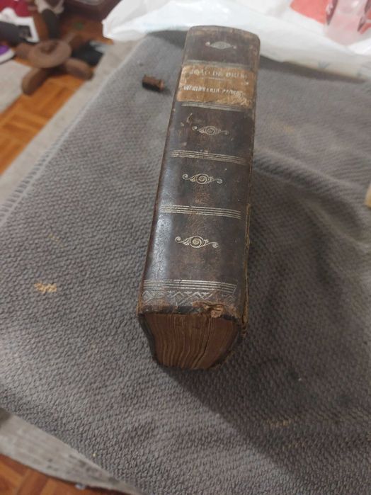 dicionário prosodico