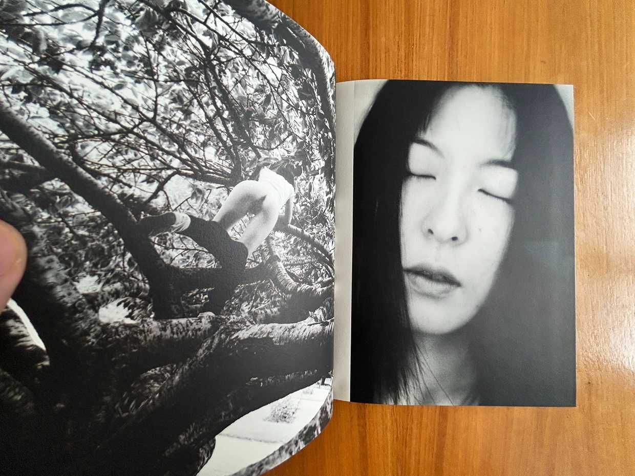 Strip by Steidl, 1998