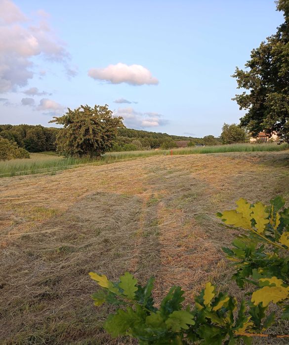 Działka na Słocinie, przy ul. Św. Marcina, Rzeszów