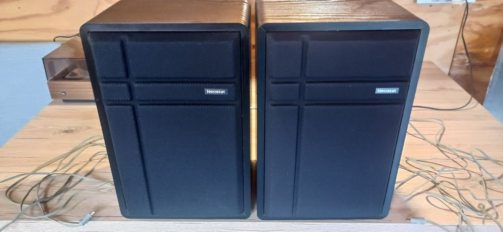 Kolumny Neostat P 600S, 4ohm/50 Watt WYPRZEDAŻ