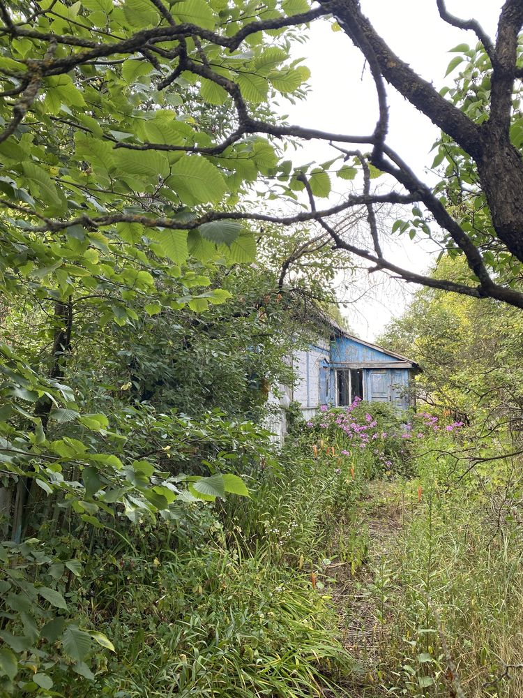 Продається будинок , село Шибене , Київська область