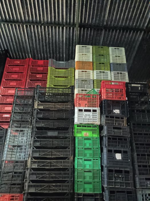 Vende-se caixas de plástico vários tamanhos.  Para desocupar