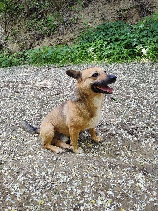 Edi szuka świadomego domu