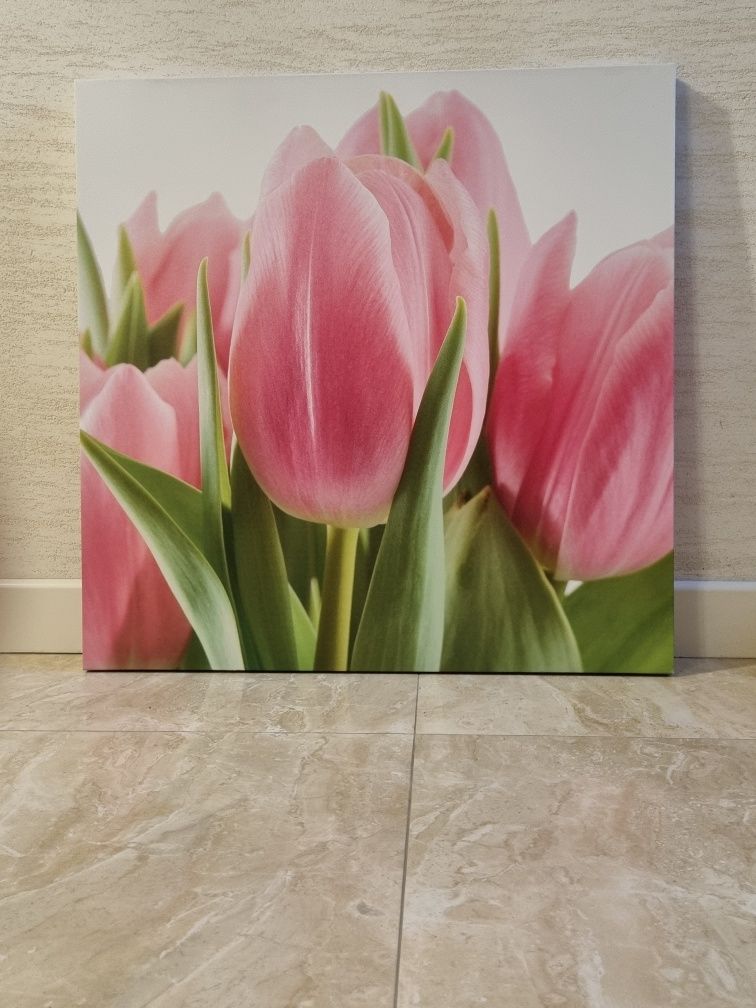 Obraz , obrazy tulipany