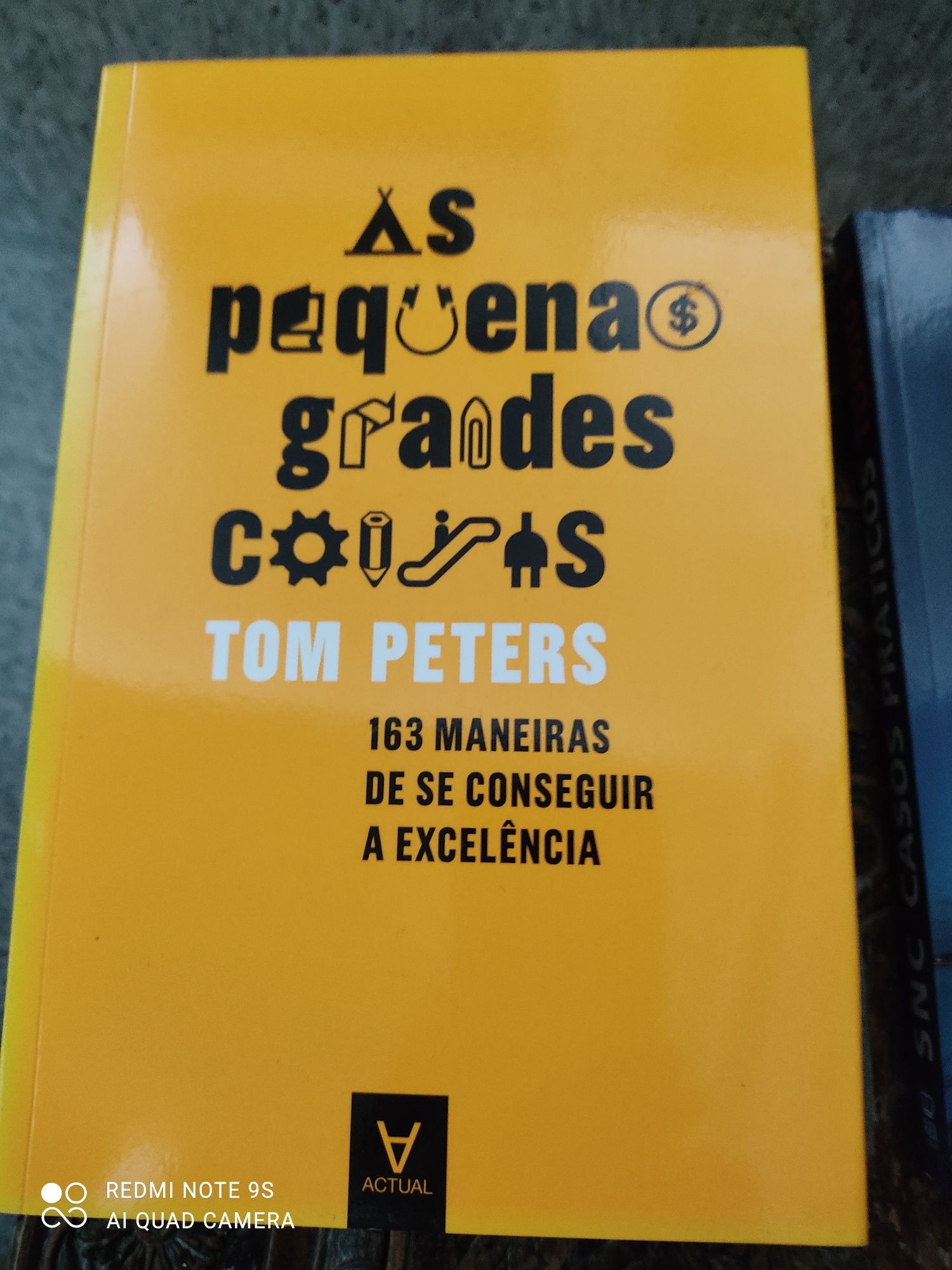 As pequenas grandes coisas, 163 maneiras de se conseguir a excelência,