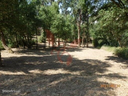 Lote de terreno