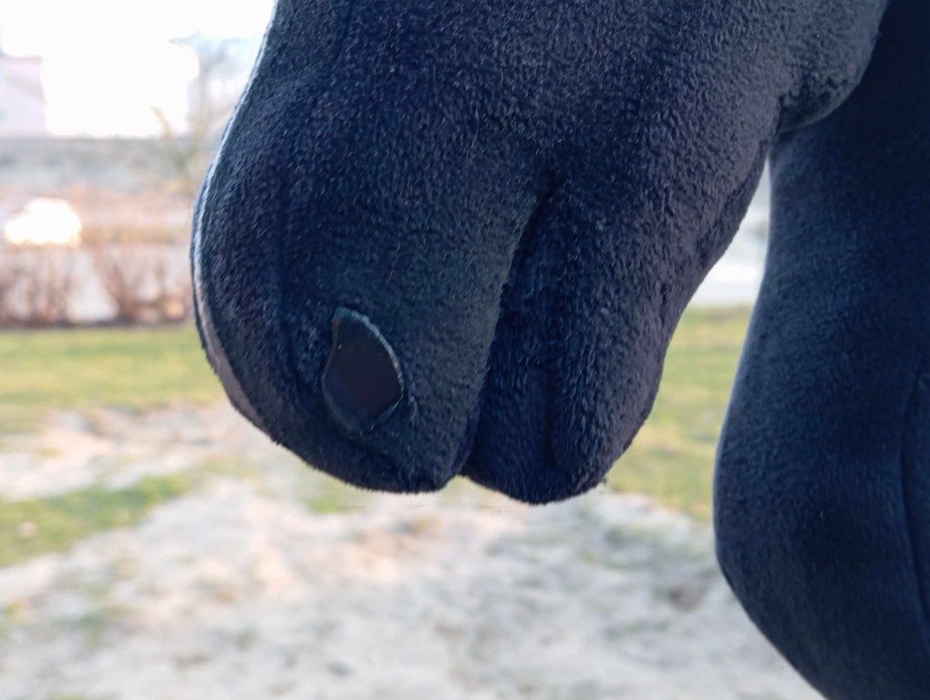 Hobby horse ujeżdżeniowy