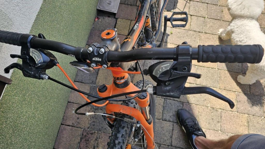 Rower KTM Wilde Speed