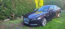 Anglik Jaguar XF