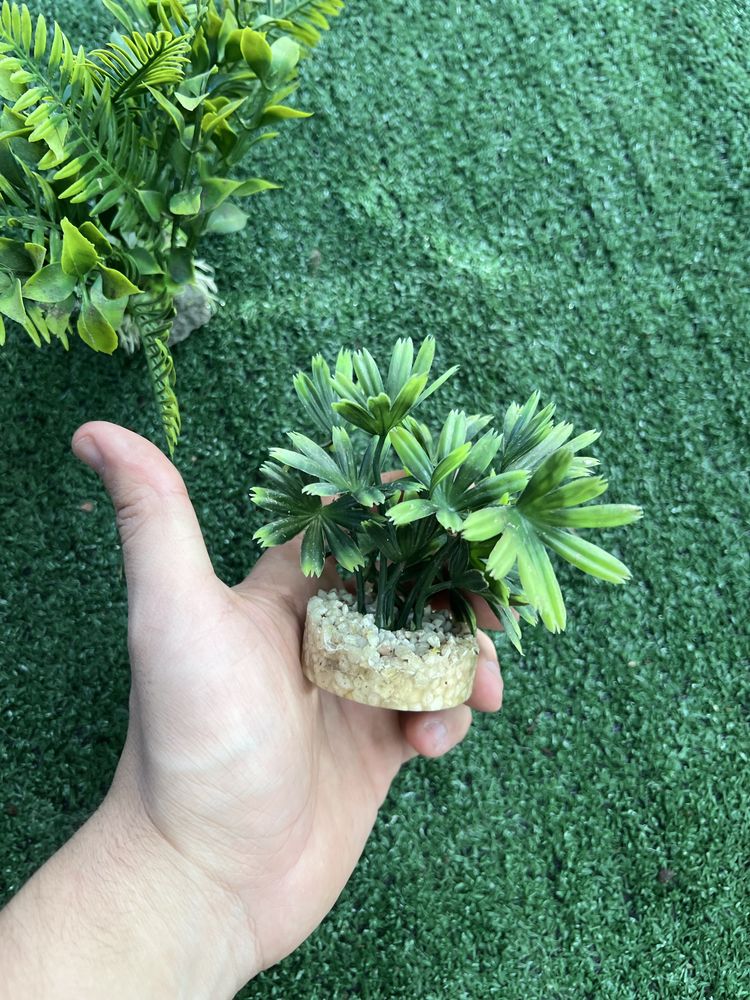 Decoracao aquario