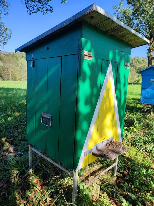 Вулики з бджолами, Бджолосімї, Вулики.