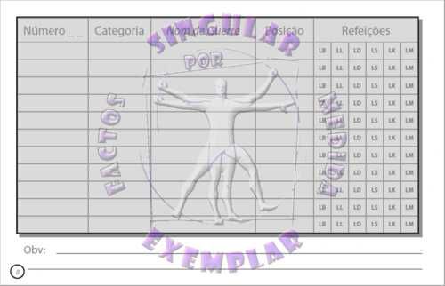 LogBook para Comissários de Bordo. A6 Copta. Portes Incluídos.