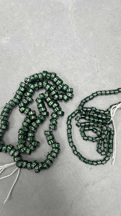 nierozłączka, rozella, obrączki 2026