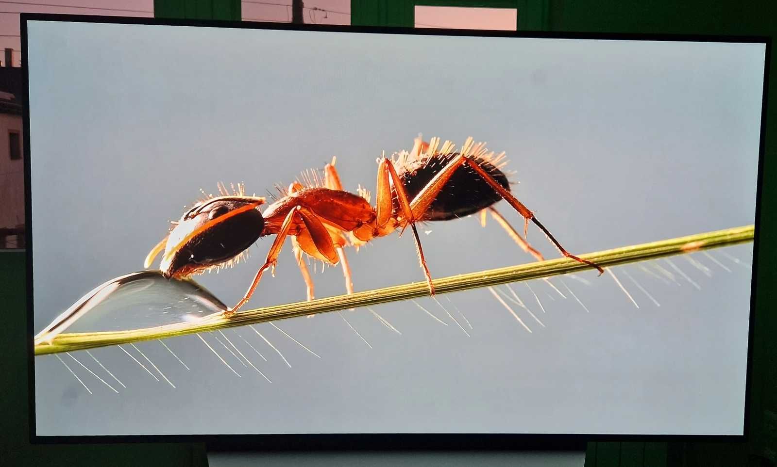 Telewizor LG OLED 55" OLED55C7V