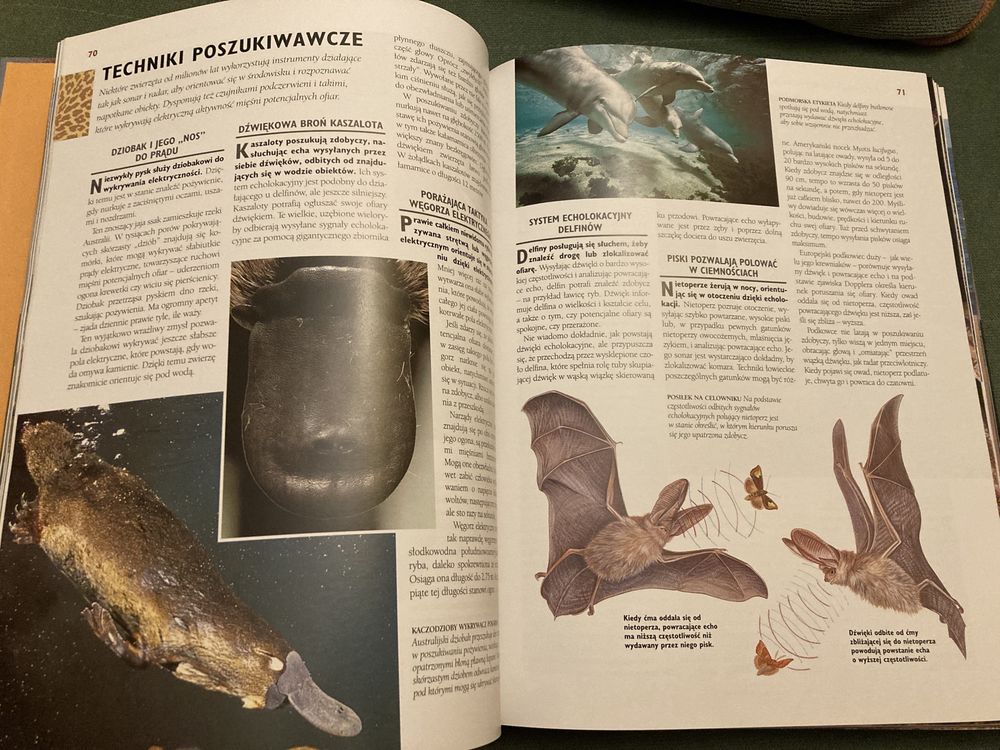 Książka "1000 Cudów Przyrody" Reader's Digest, jak nowa