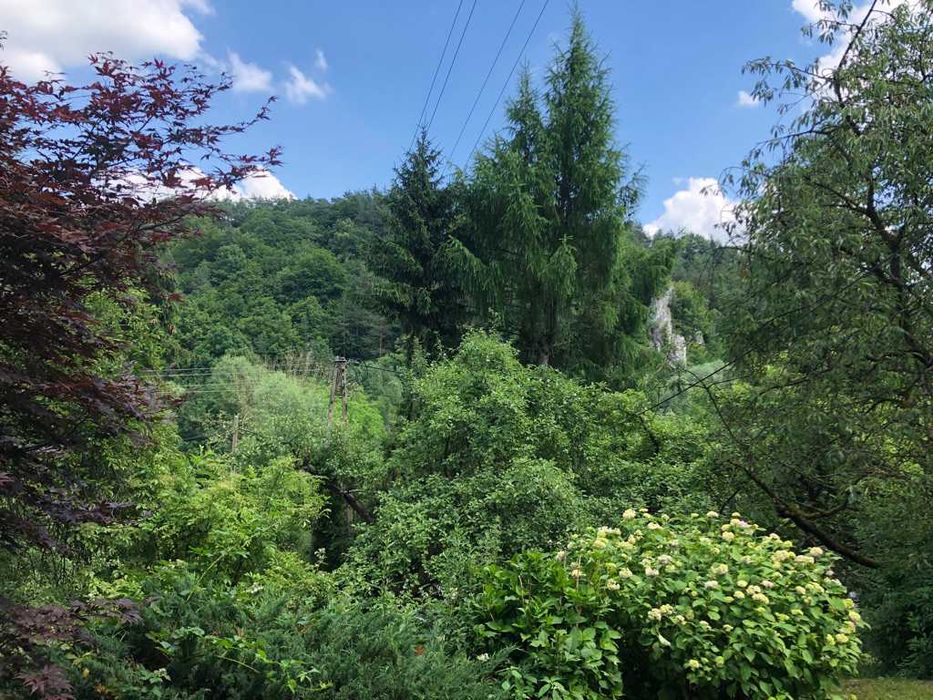 Mieszkanie z ogrodem do wynajęcia