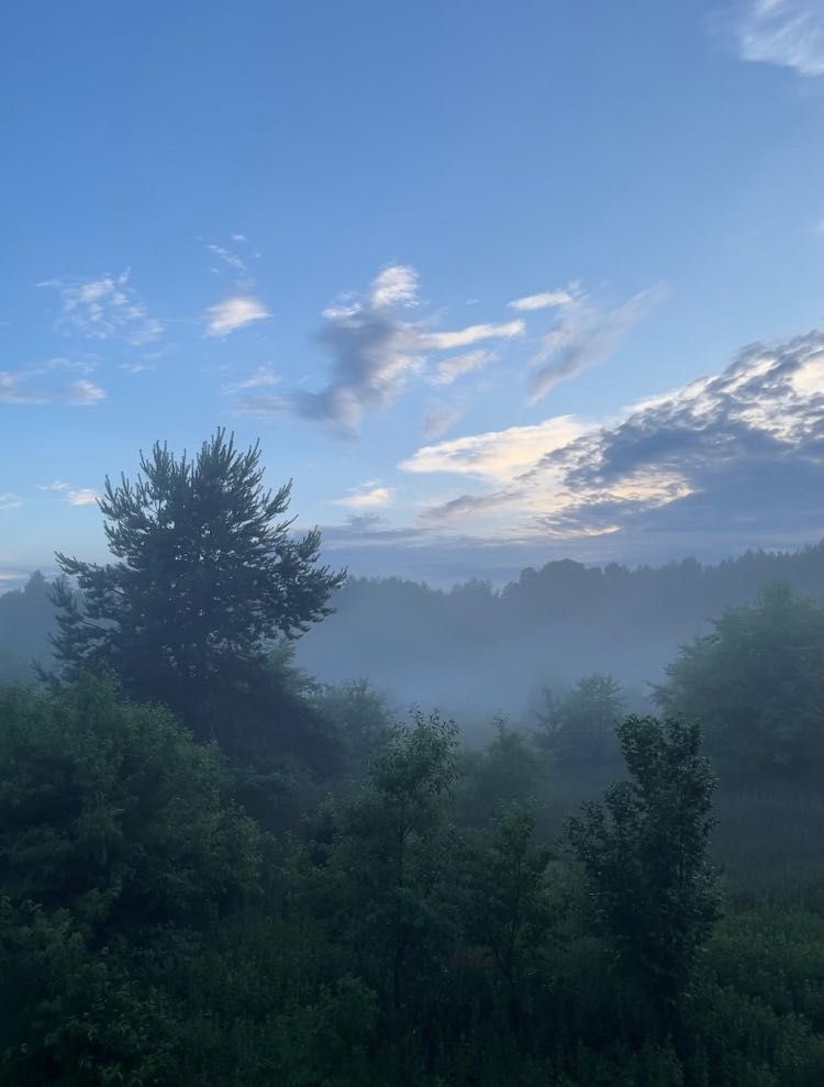 Dom przy rzece ,50km od Warszawy