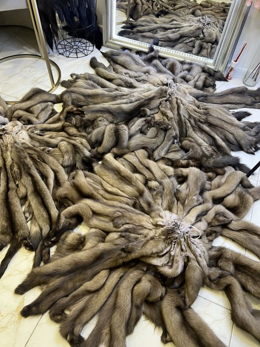 Хутро соболя ,шкури соболя